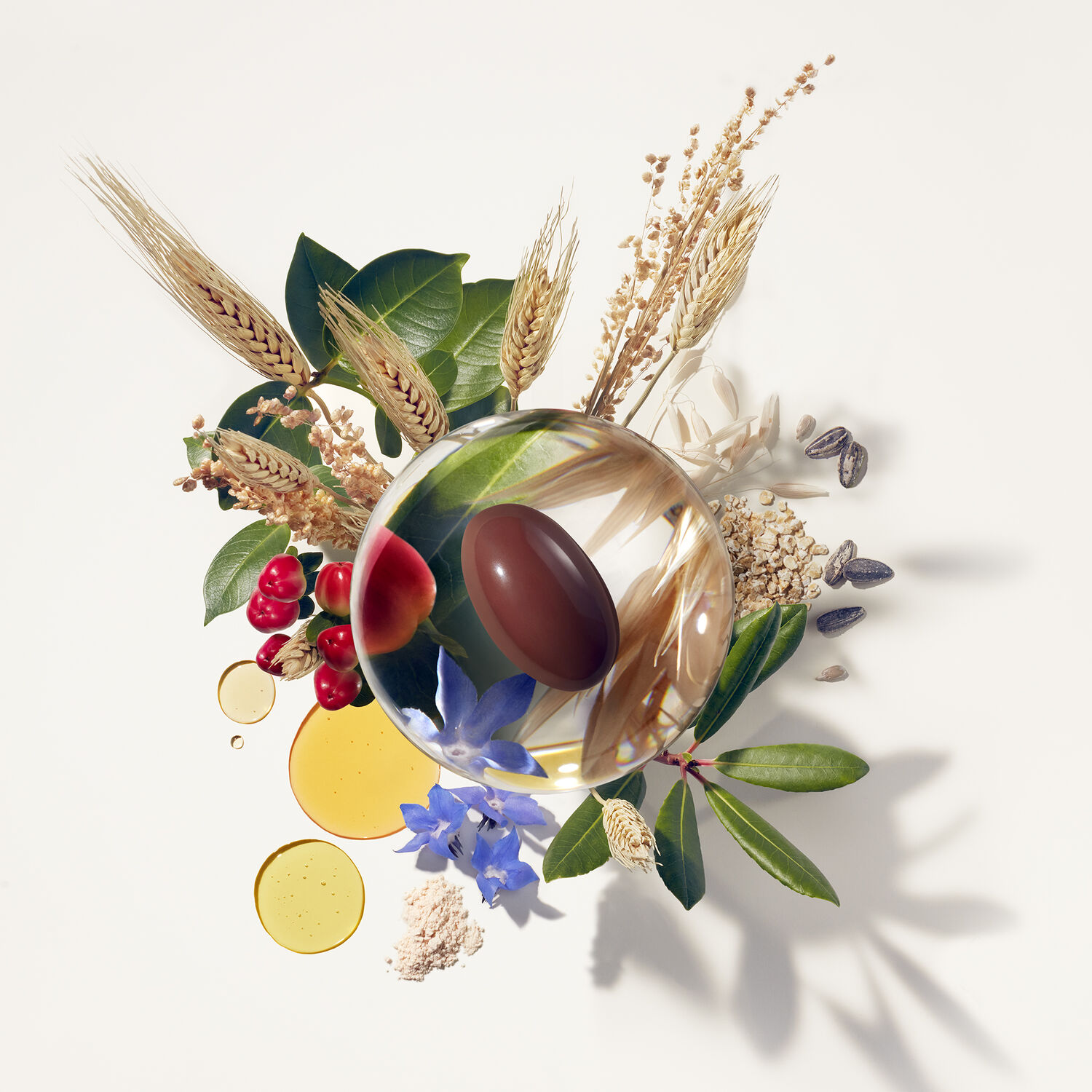 فیتو دو عددی